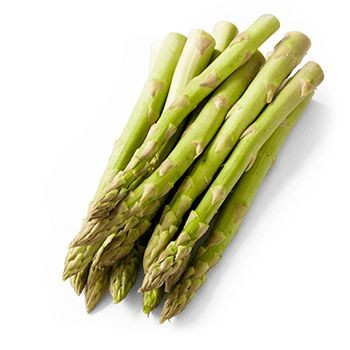 20 เมล็ด เมล็ดพันธุ์ หน่อไม้ฝรั่ง Asparagus Seeds เมล็ดผักสวนครัว สายพันธุ์ Wild Asparagus