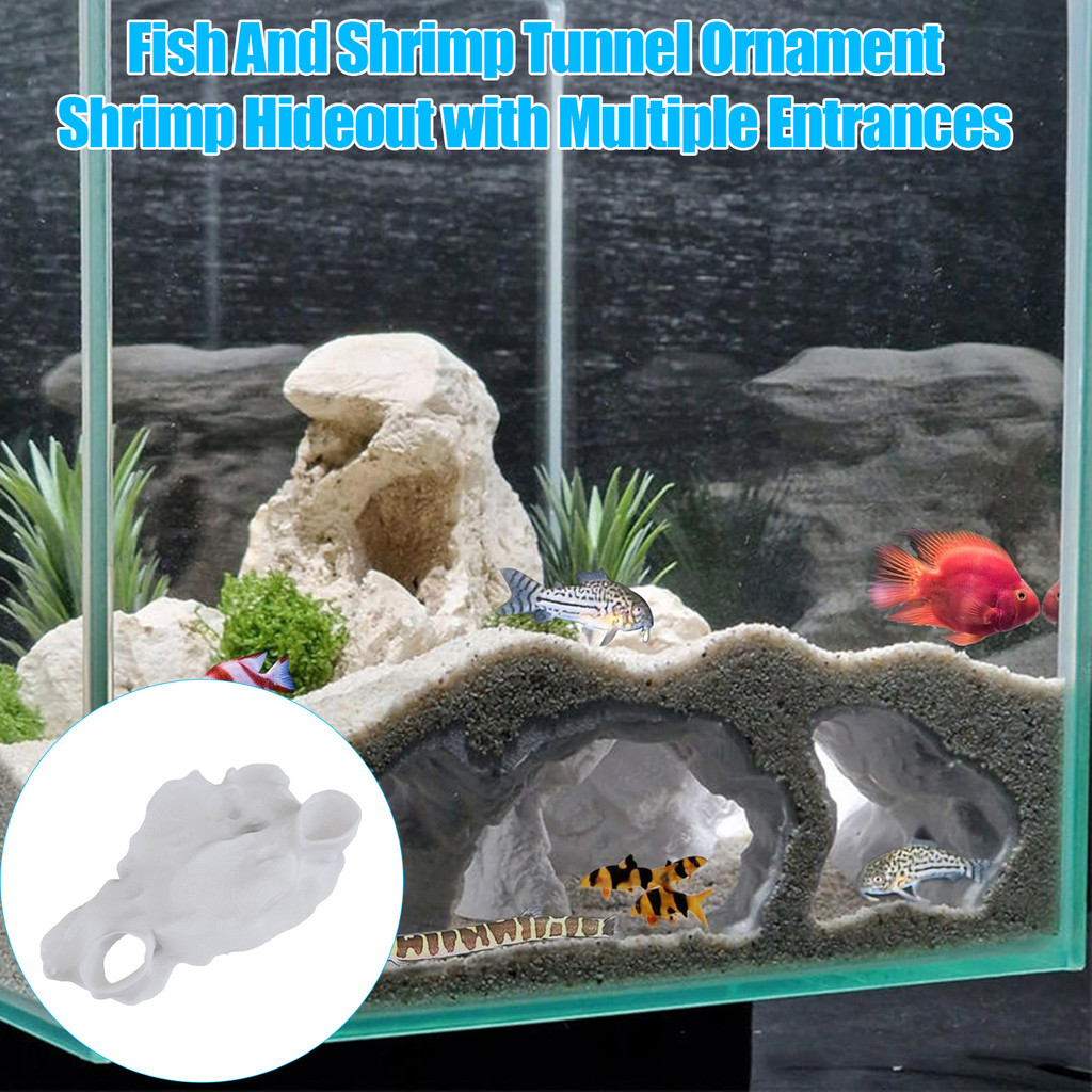 พิพิธภัณฑ์สัตว์น้ำในถังปลาธรรมชาติ Curve Hideout สำหรับ Pleco, กุ้ง, และ Corydoras