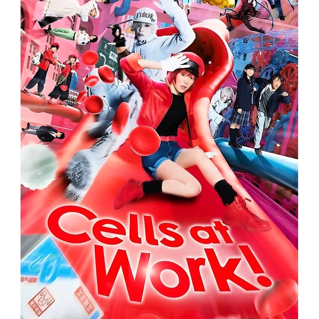 Cells at Work Hataraku Saibou เซลล์ขยันพันธุ์เดือด (2024) Bluray ⭐7.9/10 Mei Nagano