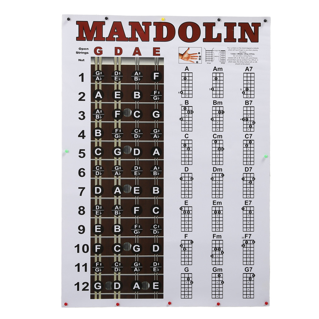 Mandolin Chord Chart โปสเตอร์ HD พิมพ์สี Fretboard Notes สําหรับผู้เริ่มต้นมืออาชีพ