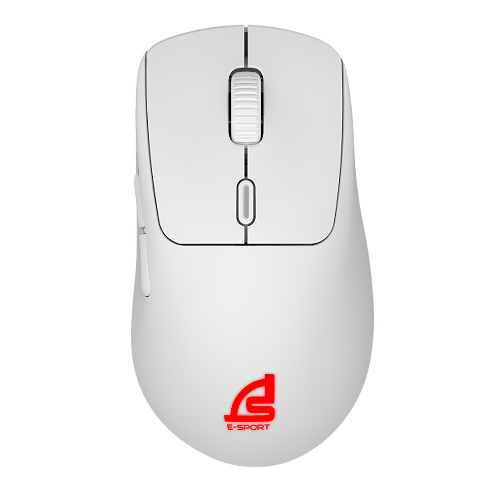 WIRELESS MOUSE (เมาส์ไร้สาย) SIGNO WG-902W VEXXER (WHITE) #
