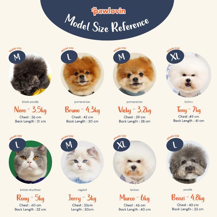 Bolt Cat - - Franco Top Dog & Cat Clothes