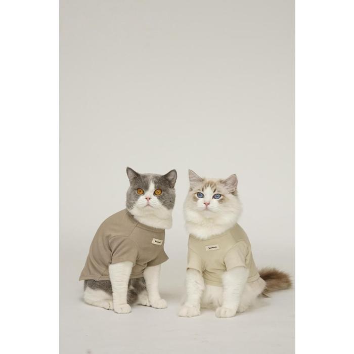 Bolt Cat - - เสื้อริบบิ้นสุนัขและแมว