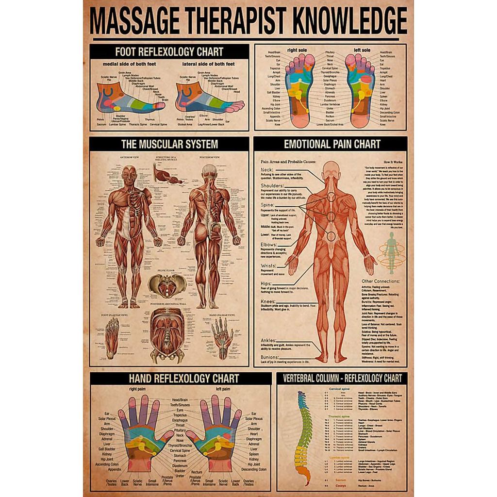 นวดนักบําบัดความรู้ผ้าใบ Wall Art Emotion Pain Chart เท้า Reflexology แผนภูมิกระดูกสันหลังคอลัมน์โปส