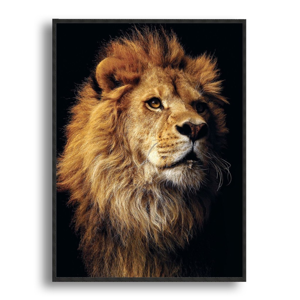 Modern Animal Wall Art ภาพวาดผ้าใบ - Lion Nordic โปสเตอร์และพิมพ์ภาพสําหรับห้องนั่งเล่น Dec