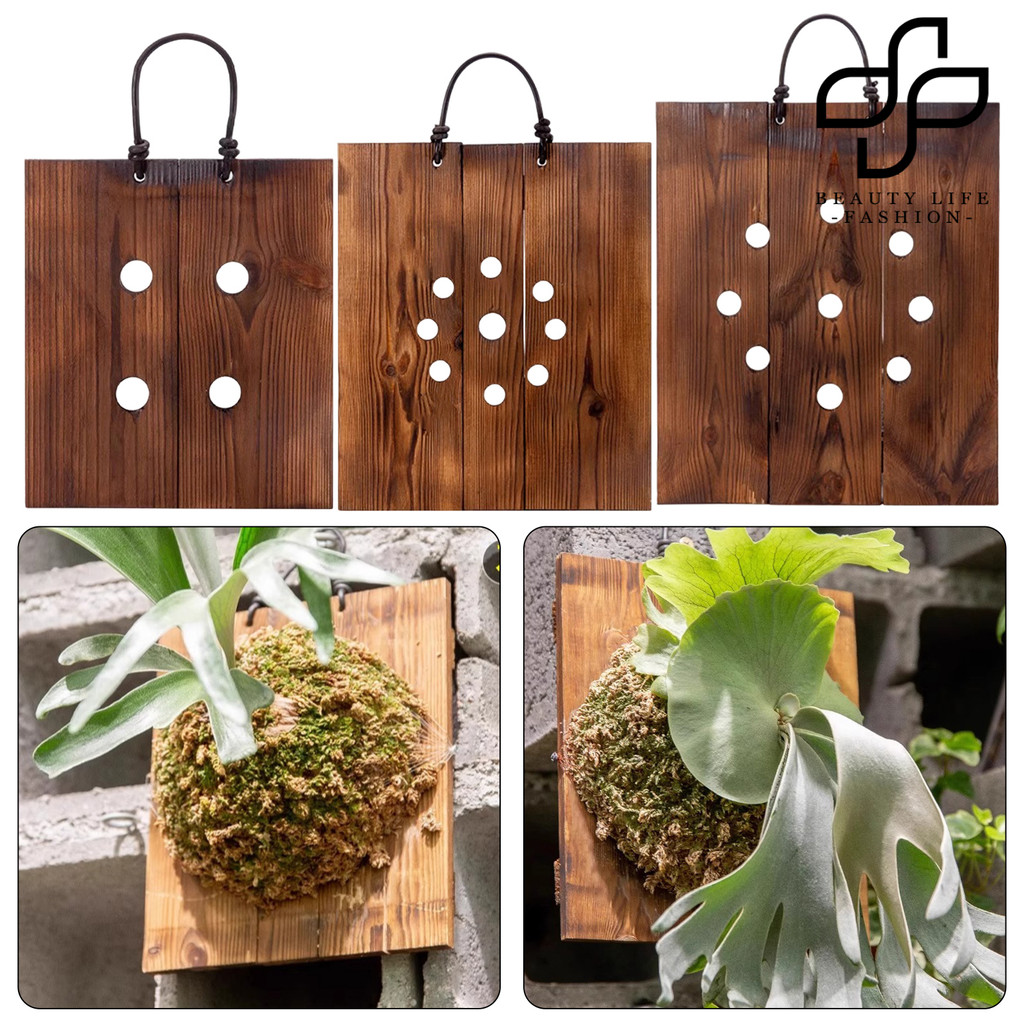 BEA_ ชุดติดตั้งเฟิร์น Staghorn กระดานไม้ Staghorn Fern ไม้แขวนเสื้อ Rustic Wall Mount Planter สําหรับ Staghorn Ferns Orchids Air พืชในร่มกลางแจ้งตกแต่ง