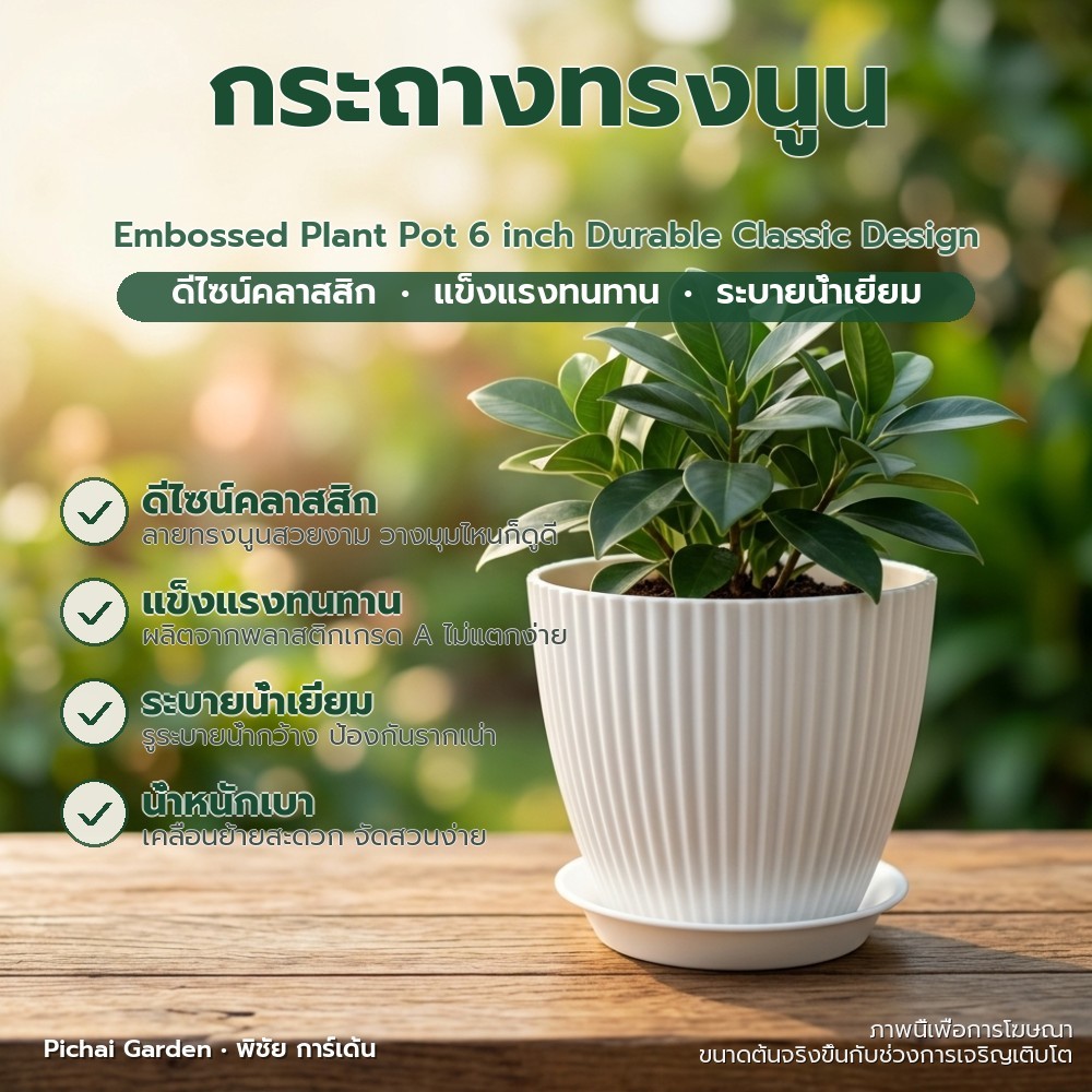 กระถางต้นไม้ ทรงนูน 6 นิ้ว สวยคลาสสิก ปลูกง่าย พลาสติกเกรด A จากสวนพิชัย Embossed Plant Pot 6 inch D