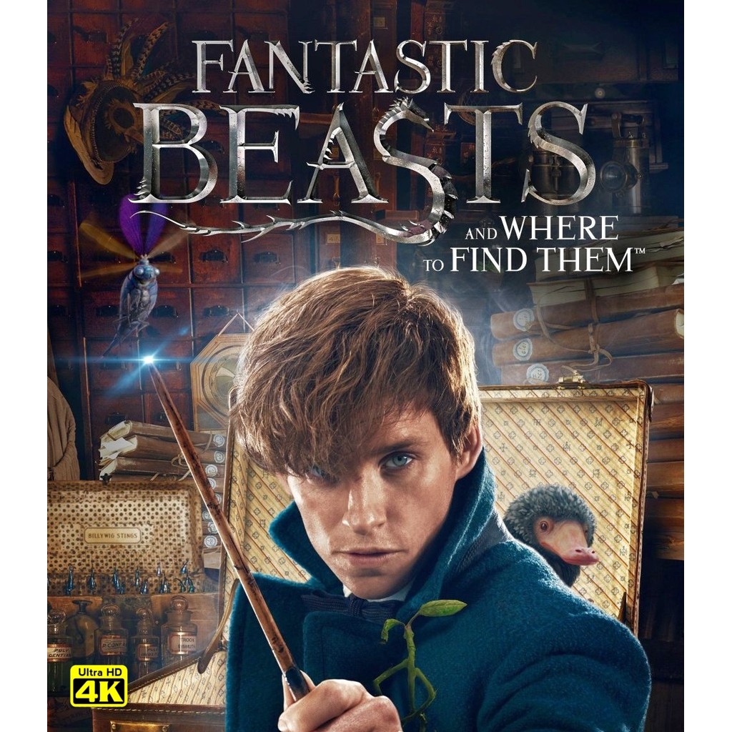 4K - Fantastic Beasts and Where to Find Them (2016) 4K UHD ⭐7.3/10 Eddie Redmayne