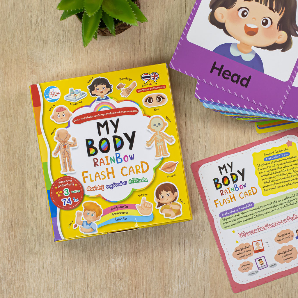 หนังสือ MY BODY RAINBOW FLASH CARD | หนังสือ flash card คำศัพท์ภาษาอังกฤษ เก็บเงินปลายทาง พร้อมส่ง ส