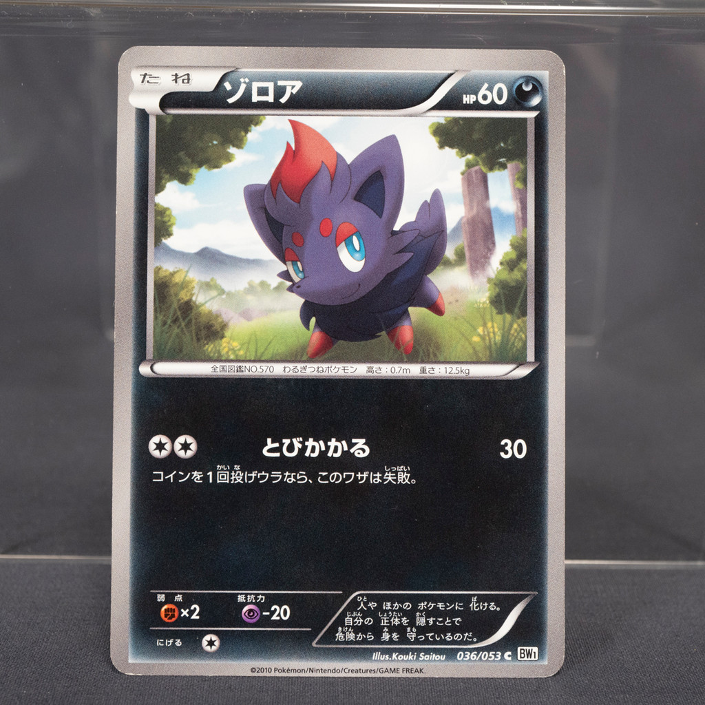 [LP] Zorua 036/053 BW  Pokemon Card TCG Japanese