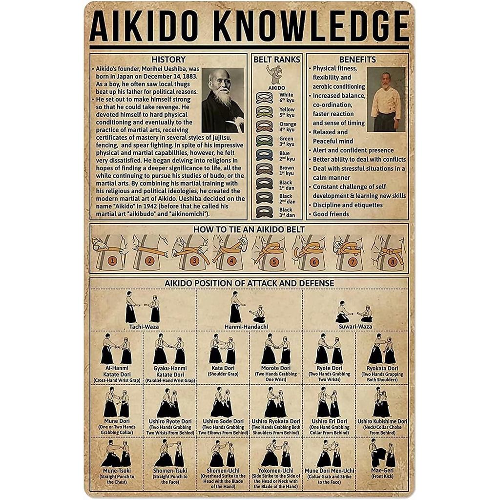 Aikido ความรู้ป้ายดีบุกโลหะ Aikido ตําแหน่งการโจมตีและการป้องกันการพิมพ์โปสเตอร์บาร์ร้านอาหาร Cafe ห