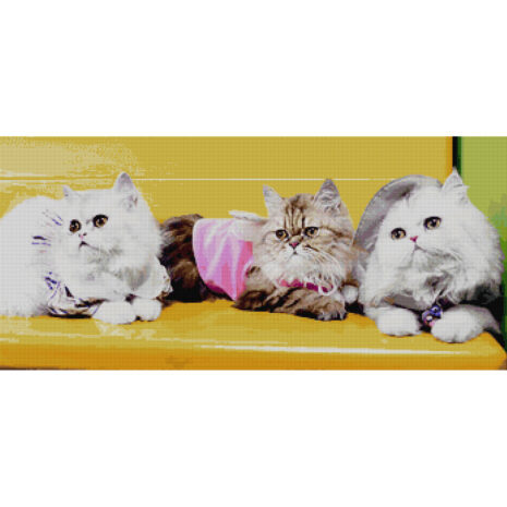 PINN SHOP ชุดปักครอสติช : แมวเปอร์เซีย [CX-EV-161]