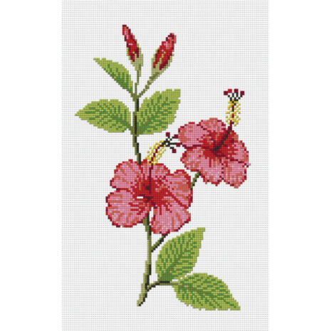 PINN SHOP ชุดปักครอสติช : ดอกชบา [J-4F]
