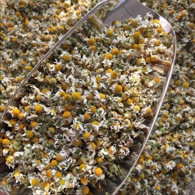 คาโมมายล์ Chamomile Tea ดอกคาโมมายล์ ชนิดแบบแห้ง แบบชิ้น 25 กรัม