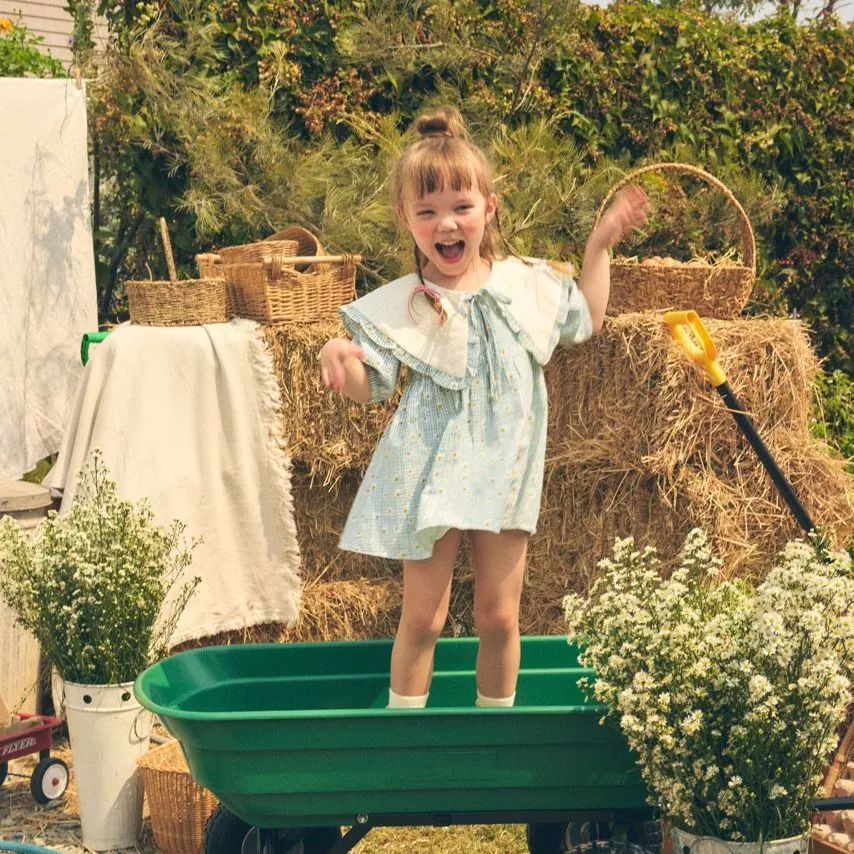 lookbookpetite mia dress mint daisy ชุดเดรสเด็กผู้หญิงแขนตุ๊กตา