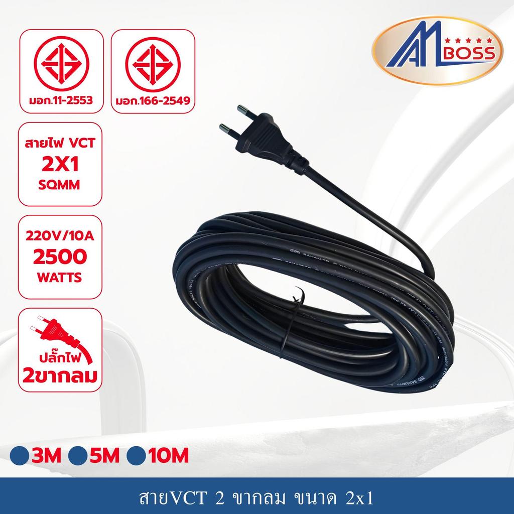 สายไฟ VCT พร้อมปลั๊กหัวหล่อ 2x1 ยาว 10M