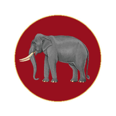 PINN SHOP ชุดปักครอสติช : ช้าง [CX-EV-OTH27]