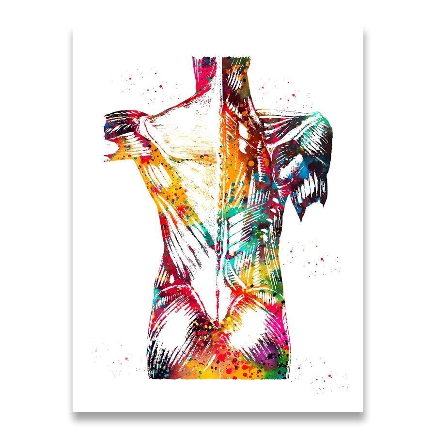 ภาพวาดรูป สํานักงานการศึกษาทางการแพทย์ ภาพโปสเตอร์ terrible กันน้ํากลางแจ้ง RT982 CANVAS