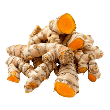 ขมิ้นชัน Turmeric สมุนไพรตากแห้ง แบบหัว 50 กรัม