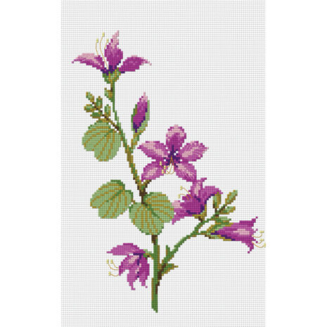 PINN SHOP ชุดปักครอสติช : ดอกชงโค [J-4C]