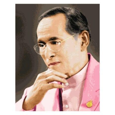 PINN SHOP ชุดปักครอสติช : ในหลวงฉลองพระองค์ชมพู (ใหญ่) [CX-EV-CR89]