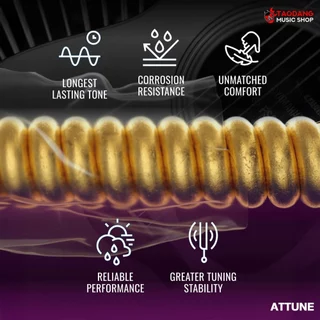 Elixir Attune Phosphor Bronze สายกีต้าร์โปร่งเคลือบ Elixir Acoustic Guitar Strings - เต่าแดง
