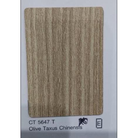 L CARTA CT 5647T OLIVE TAXUS CHINENSIS พร้อมส่ง