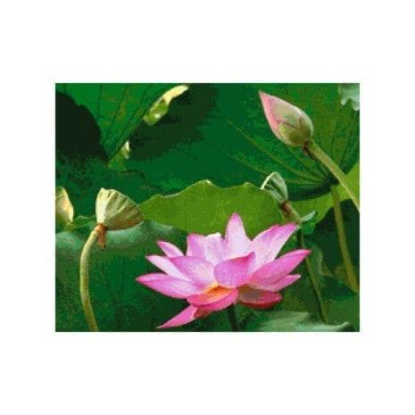 PINN SHOP ชุดปักครอสติช : บัวงาม [CX-EV-230]