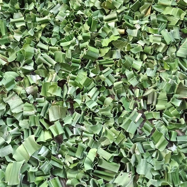 ใบเตยหอม Pandan Leaf ชนิดแบบแห้ง แบบชิ้น 50 กรัม