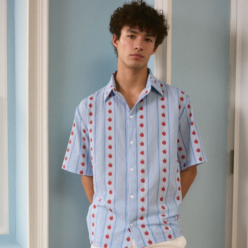 lookbookpetite toast shirt (adult) blue pommette เสื้อโปโลผู้ชาย รุ่น toast สี blue pommette