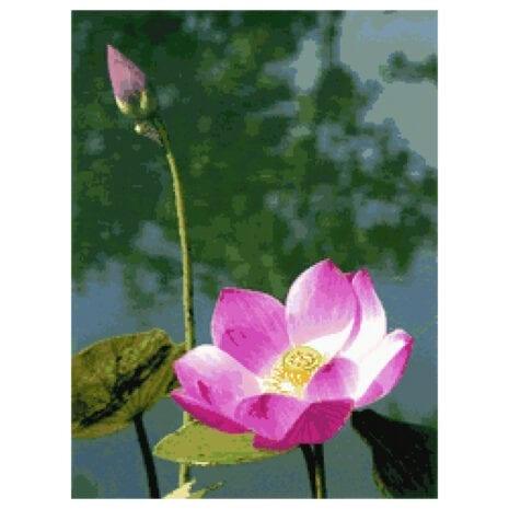 PINN SHOP ชุดปักครอสติช : บัวหลวง 2 [CX-EV-177]