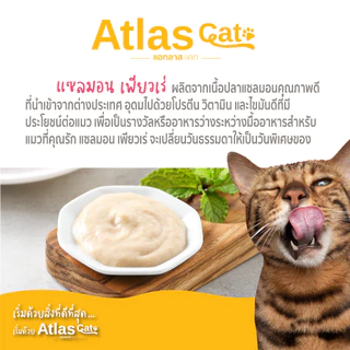 Atlas Cat แอทลาส ขนมแมวเลีย แซลมอนเพียวเร่ Salmon Puree 15ก./ซอง (แพ็ค 1)