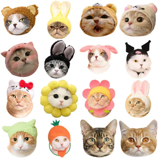 สติกเกอร์อิโมจิหัวแมวน่ารัก 50 ชิ้น Diy คอมพิวเตอร์ Washi Scrapbooking สติกเกอร์ศิลปะหัตถกรรมแล็ปท็อปสติกเกอร์