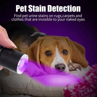 ไฟฉาย LED 395nm UV 3 โหมดซูมชาร์จกันน้ํา Pet Stain Finder สีดํา