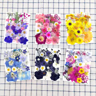 กดดอกไม้เครื่องประดับเรซินธรรมชาติสมุดภาพลายนูน ทําเอง ดอกไม้แห้งสําหรับงานฝีมือ31/34ชิ้น