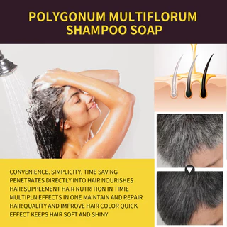 Hair Darkening Shampoo With He Shou Wu Extract - ให้ความชุ่มชื้นอย่างล้ําลึก ซ่อมแซม 100ml