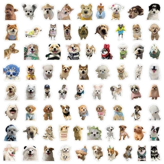 Tcuo 200 ชิ้นตลกน่ารักสัตว์เลี้ยงลูกสุนัขและสติ๊กเกอร์ลูกแมว-สติ๊กเกอร์สําหรับหมวกกันน็อค,จักรยาน,บัญชีมือ