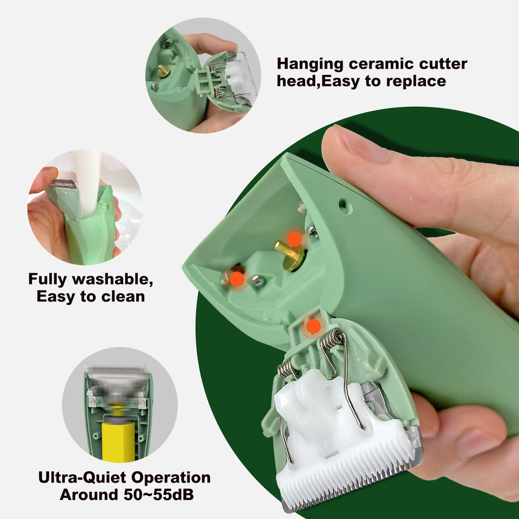 รูปภาพ 4