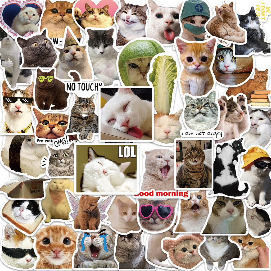 50 ชิ้นของลูกแมวอิโมติคอนสติกเกอร์กราฟติตกแต่งกระเป๋าปากกากีตาร์โน๊ตบุ๊คกันน้ํา ﻿