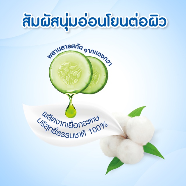 รูปภาพ 2