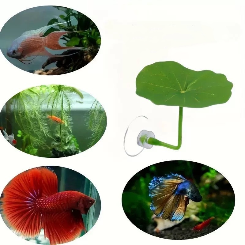 Betta Fish Leaf Hammock พร้อมถ้วยดูด Soft Aquarium Decor พืช Resting Spot สําหรับ Sleeping Hiding เล่นกับตกแต่งตู้ปลา