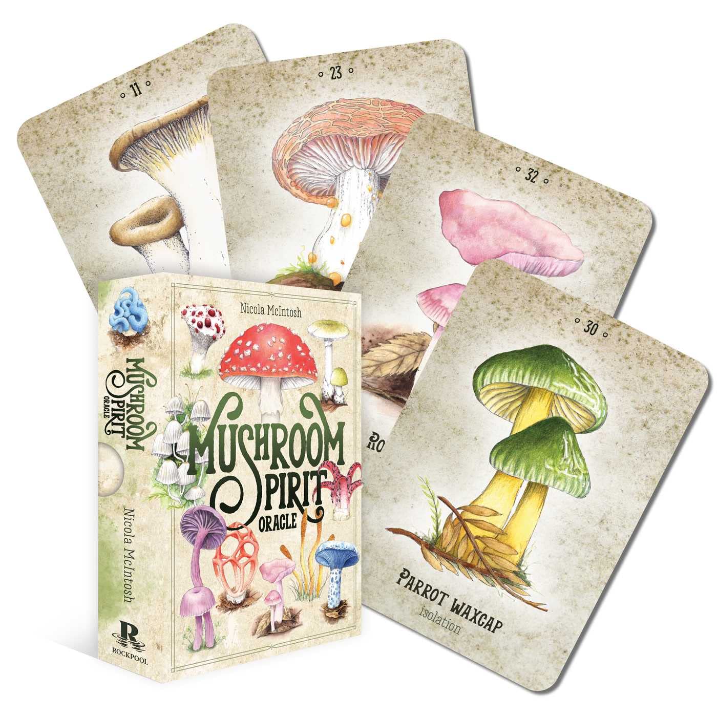 เห็ดวิญญาณ ออราเคิล ดาดฟ้า 36 การ์ด, ธรรมชาติทํานายไพ่ทาโรต์สําหรับผู้เริ่มต้น,รักษาจิตวิญญาณรายการสุดท้ายจบการศึกษาของขวัญวันแม่