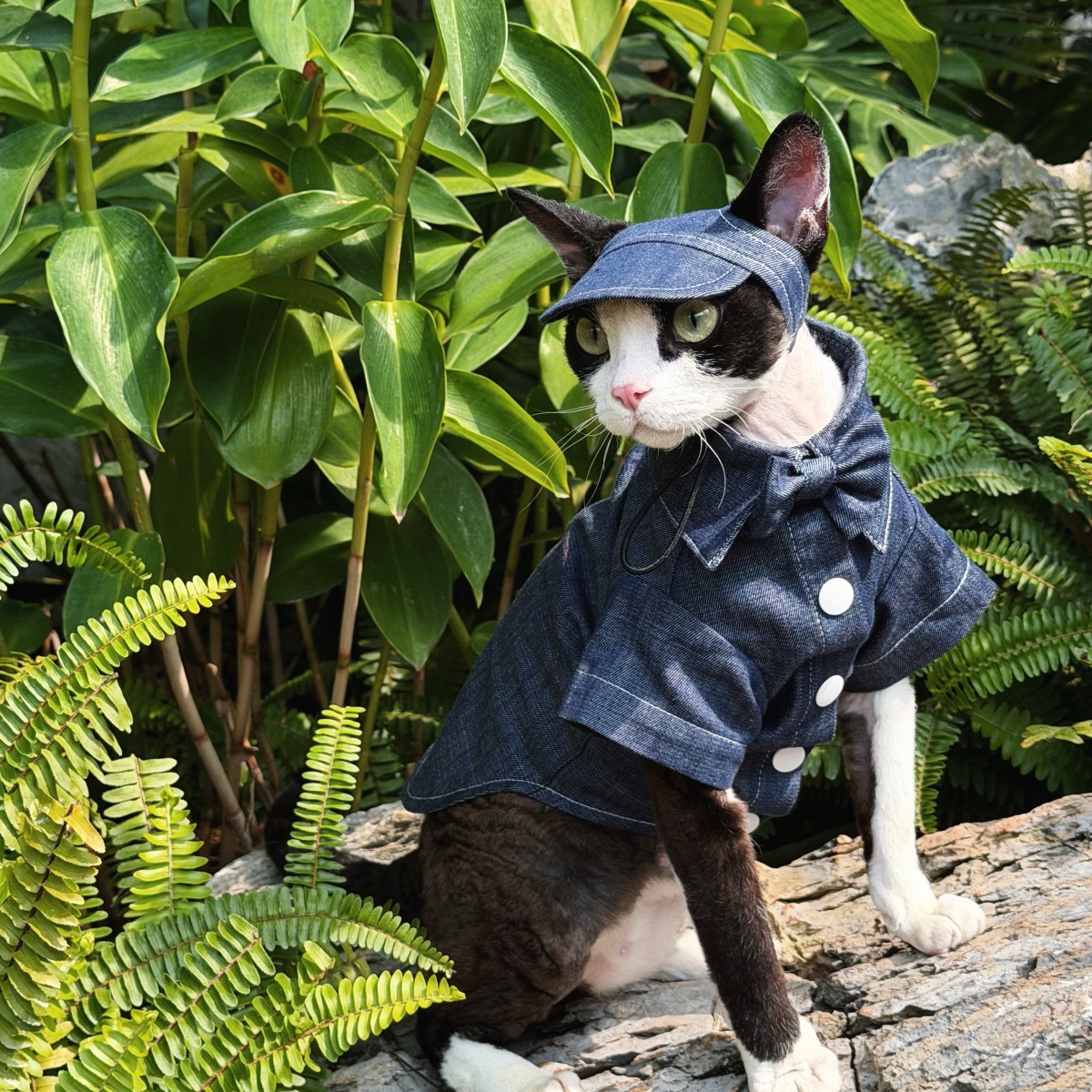 ชุดแฟชั่นยีนส์เทียมสําหรับแมวพันธุ์ Devon Rex, Abyssinian และ Sphynx
