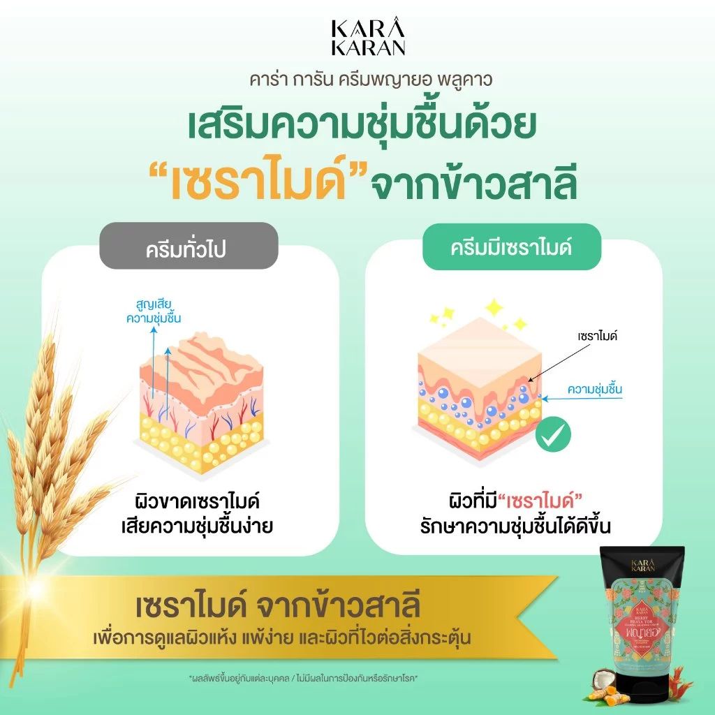 โลชั่นพญายอพลูคาว เซราไมด์ & สมุนไพรสกัดเย็น 11 ชนิด สำหรับผิวแพ้ คัน ผิวแห้ง และลดกลิ่นตัว ขนาด 120 มล. - รูปที่ 3