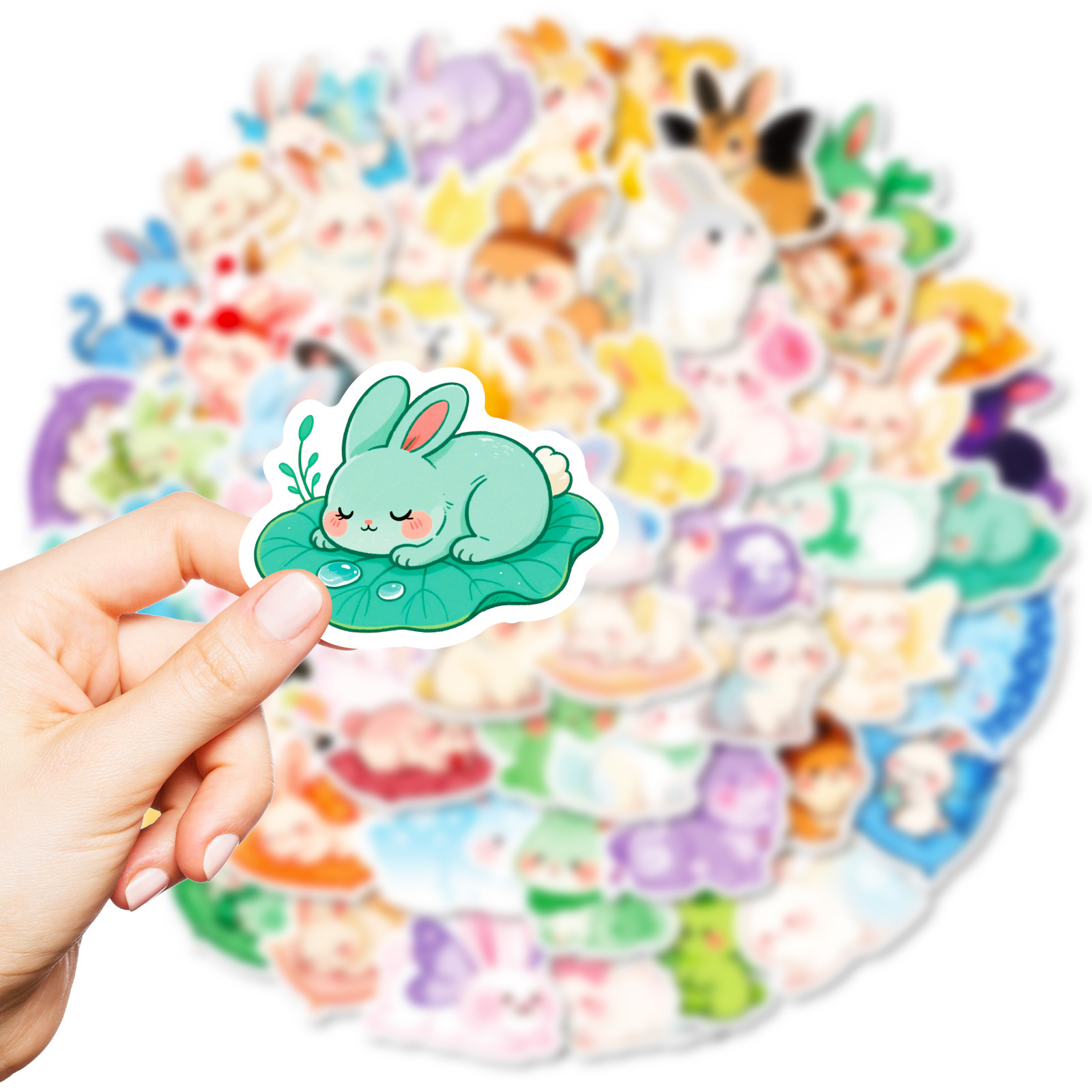 Thumbnail 6