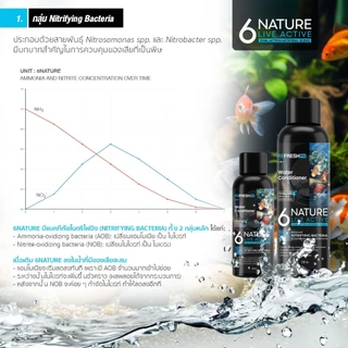 6NATURE จุลินทรีย์บำบัดน้ำสำหรับตู้ปลา Nitrifying + Bacillus 6 สายพันธุ์ ขนาด 100-500 ml