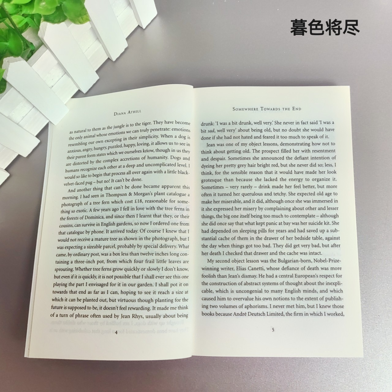 Somewhere Towards the End: เรื่องราวบันทึกความทรงจําที่แพร่ระบาด – มุมมองที่สง่างามของ Athill เกี่ยวกับวัยชรา เหมาะสําหรับอ่านในห้องนอนหรือห้องนั่งเล่น - รูปที่ 3