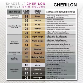 CHERILON Hold Ups ถุงน่องโคนขา รุ่น NSA-NCMECH สีเนื้อ 04 / 88 ขนาด Free Size