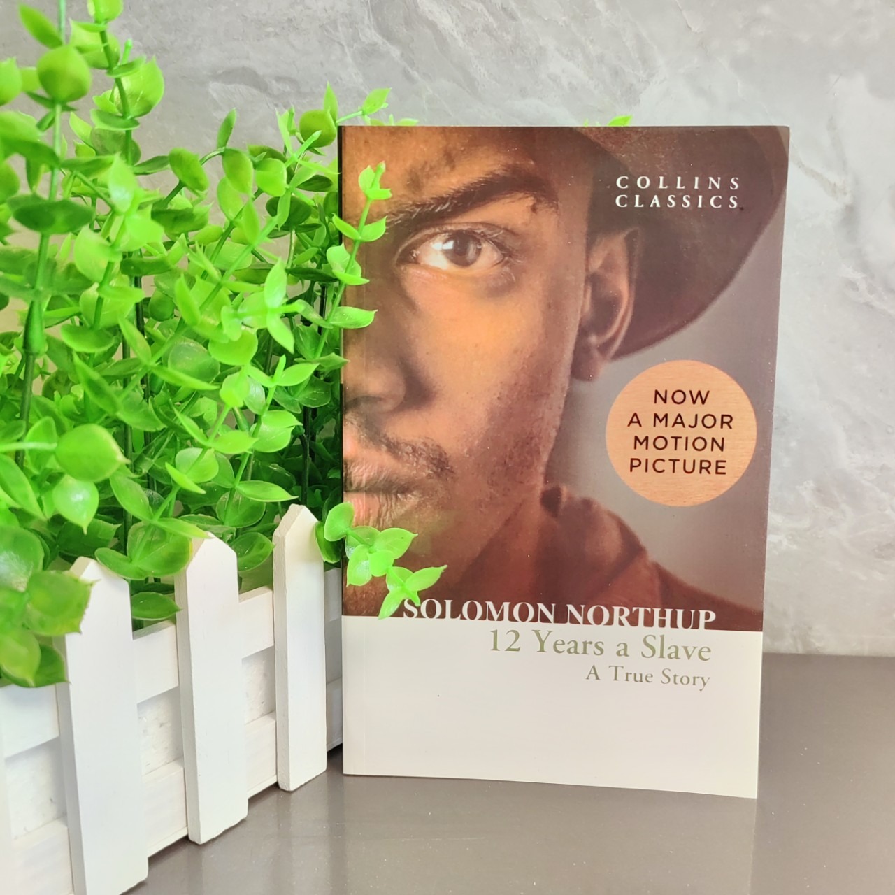 12 Years a Slave: หนังสือวรรณกรรมที่ควรมี – บันทึกความทรงจําจริงเรื่องการเป็นทาสของนอร์ธอัพ เหมาะสํา