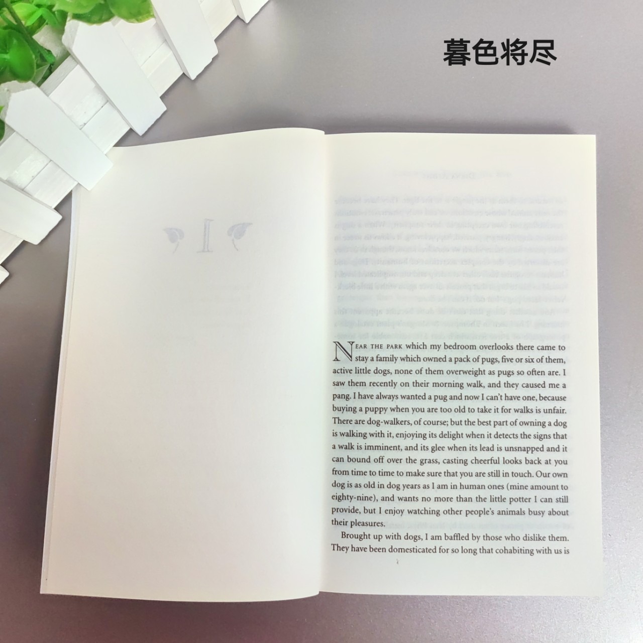 Somewhere Towards the End: เรื่องราวบันทึกความทรงจําที่แพร่ระบาด – มุมมองที่สง่างามของ Athill เกี่ยวกับวัยชรา เหมาะสําหรับอ่านในห้องนอนหรือห้องนั่งเล่น - รูปที่ 4